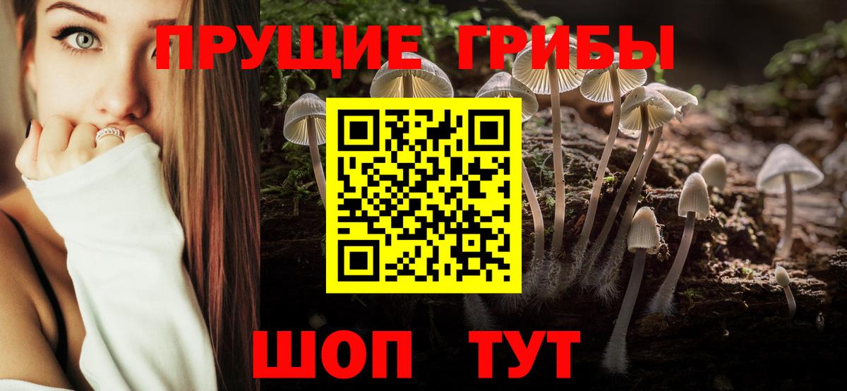 купить наркоту  Галлюциногенные грибы GOLDEN TEACHER  Псилоцибиновые грибы мицелий  Вход с VPN  Кандалакша 